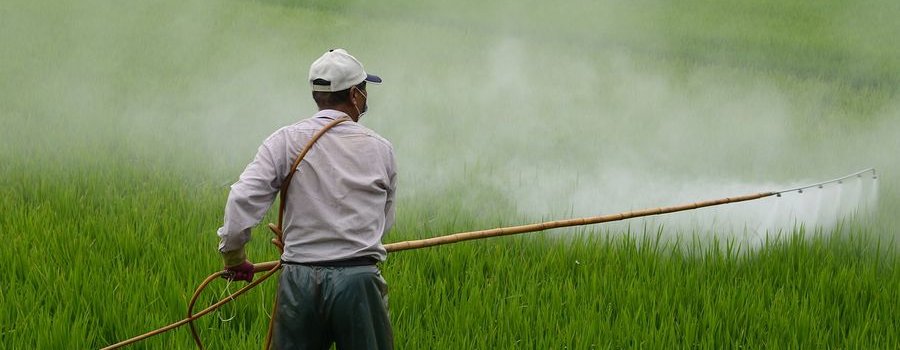 Les pesticides, une menace pour la biodiversité terrestre