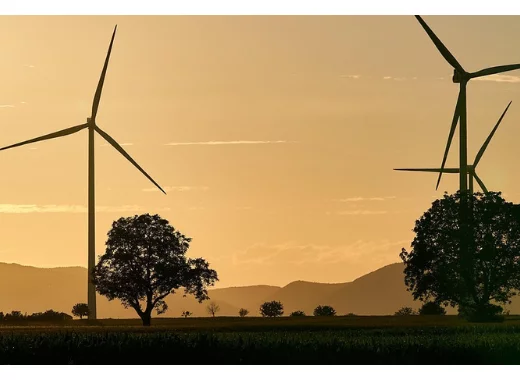Éoliennes et élevage : la géobiologie, une pseudo-science étrangement invoquée