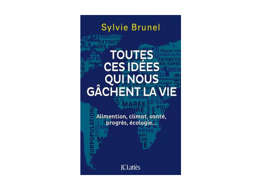 Toutes ces idées qui nous gâchent la vie