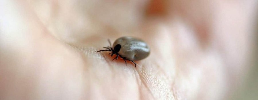La Haute Autorité de Santé privilégie la confusion aux dépens de l'expertise scientifique