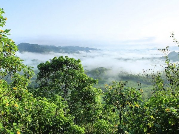 Une Chapelle Sixtine en Amazonie ?