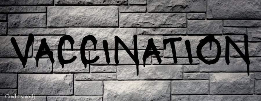 L'antivaccinisme est-il soluble dans l'histoire ?