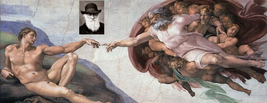 La théorie darwinienne de l'évolution dérange toujours les créationnismes