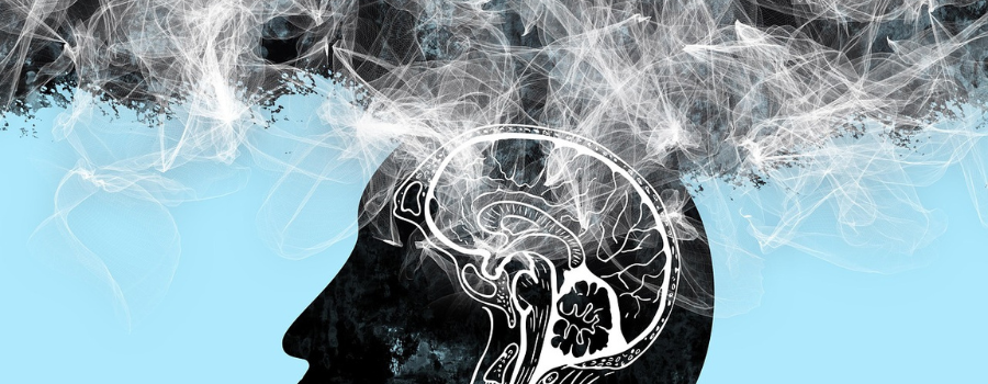 Dépolluer la science : responsabilité des institutions ou des lanceurs d'alerte ?