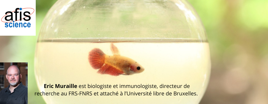 [Conférence en ligne - Mardi 20 janvier 2026 à 20h00] L'expérimentation animale en question