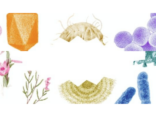 Vive les microbes, le film documentaire et le livre de Marie-Monique Robin