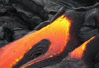 Le retour de Yellowstone dans l'actualité