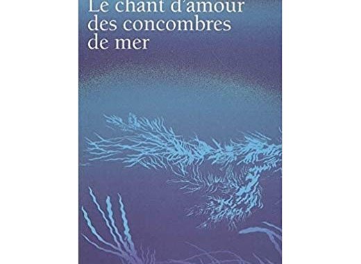 Le chant d'amour des concombres de mer