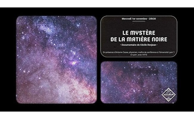 [Lyon - mercredi 1er novembre 2023] Le mystère de la matière noire
