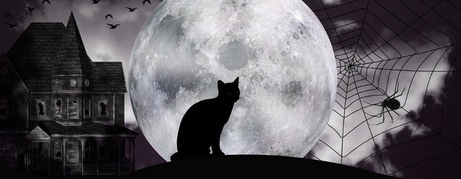 Caliban et la sorcière, ou l'Histoire au bûcher