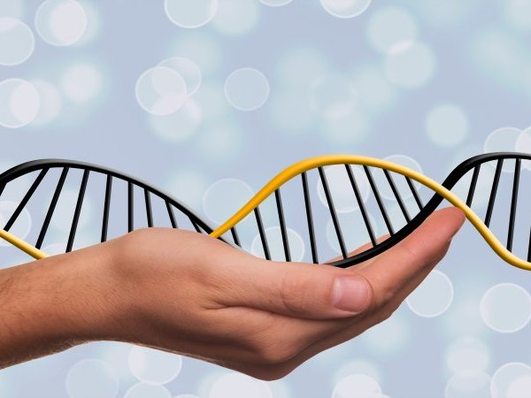 Désactiver CRISPR-Cas9 pour étudier la fonction des gènes : la méthode CRISPRi