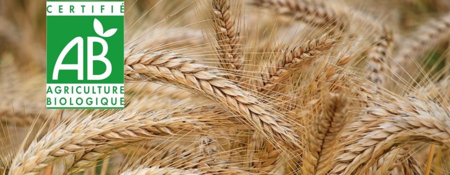 Dix questions sur l'agriculture biologique