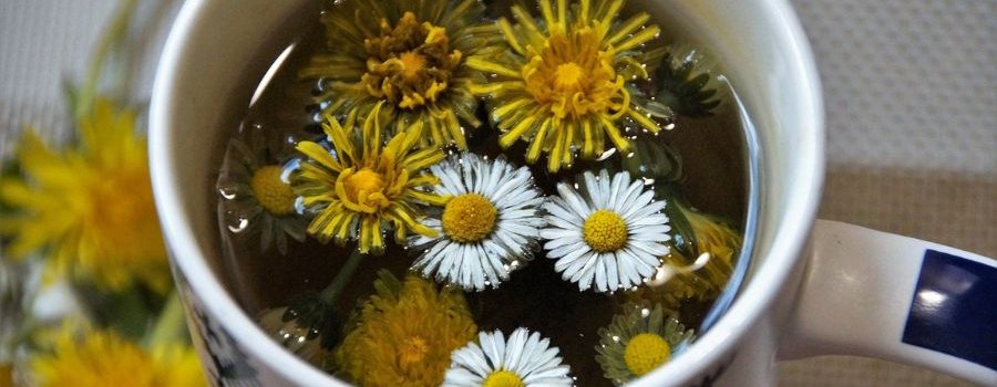 Détox : info ou intox ?