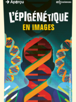 L'épigénétique en images