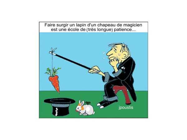 Doit-on lever ou non le voile ?…