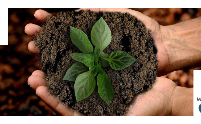 [Paris, le jeudi 8 février 2024, 18h45] (Méga-)Bassines : solution d'adaptation ou aberration écologique ?