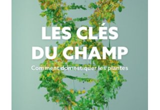 Les clés du champ