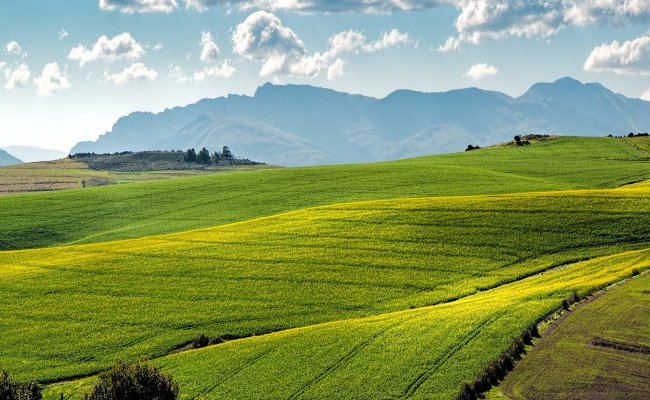 Agriculture, pesticides et biodiversité