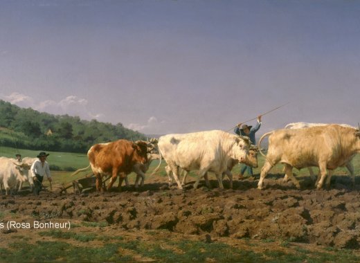 L'agriculture du Lauragais au milieu du XIX<sup>e</sup> siècle