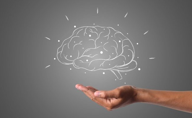 Quelques mythes à propos de notre cerveau