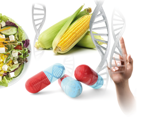 OGM : vingt ans de progrès, vingt ans de controverses