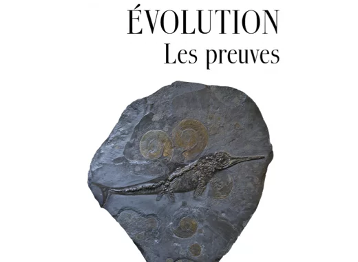 Évolution