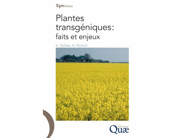 Plantes transgéniques : faits et enjeux