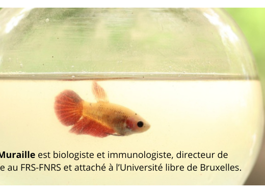 [Conférence en ligne - Mardi 20 janvier 2026 à 20h00] L'expérimentation animale en question