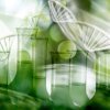Réglementation des nouvelles technologies d'édition du génome : académies et scientifiques donnent leurs avis