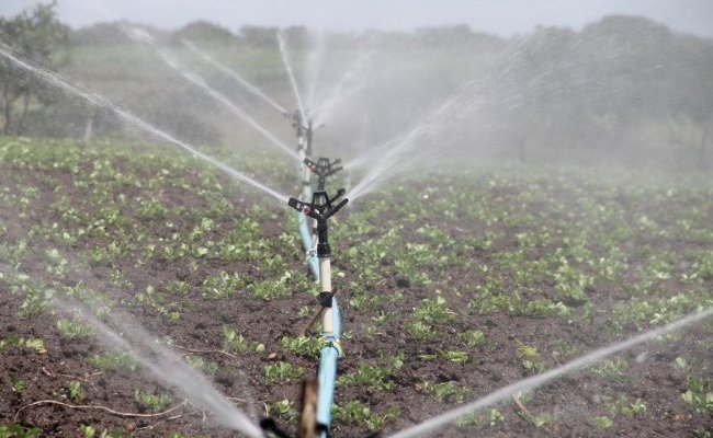 Les « mégabassines » de Sainte-Soline : un éclairage scientifique sur un sujet controversé