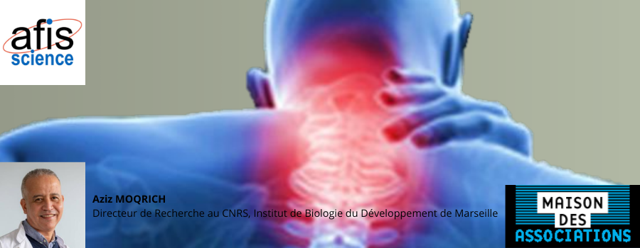 [Marseille - Samedi 23 mai 2026 de 15h00 à 17h00] Douleurs chroniques : Mécanismes clés & nouvelle piste thérapeutique