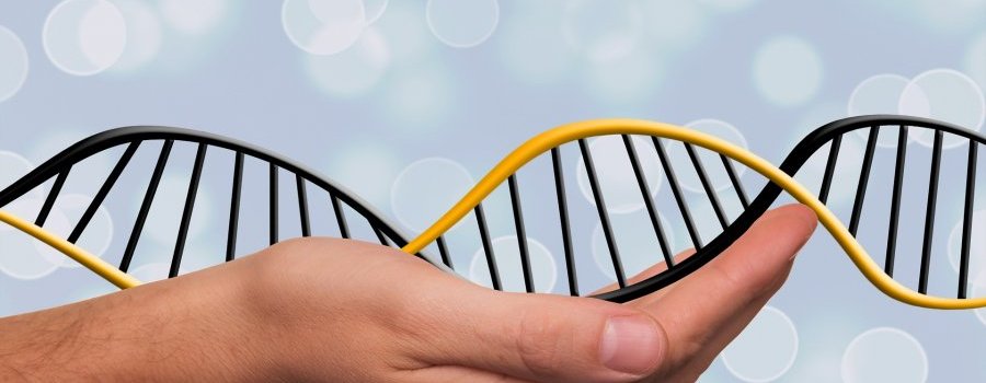 Désactiver CRISPR-Cas9 pour étudier la fonction des gènes : la méthode CRISPRi