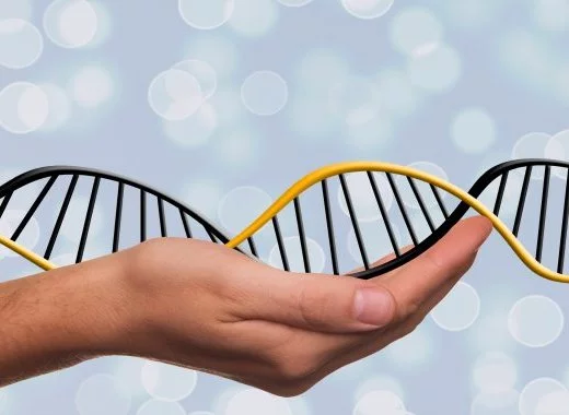 Désactiver CRISPR-Cas9 pour étudier la fonction des gènes : la méthode CRISPRi