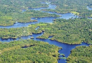 L'Amazonie, le « poumon » de la Terre ?