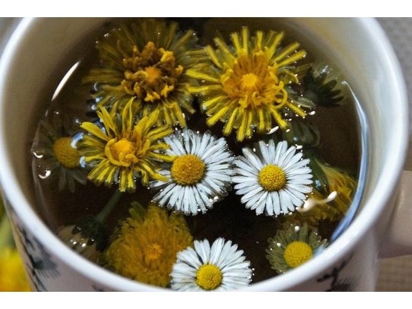 Détox : info ou intox ?
