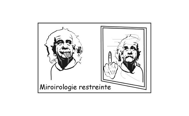 La Miroirologie
