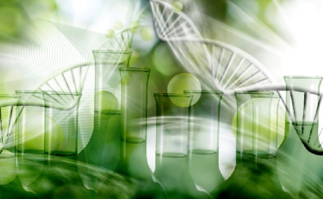 Réglementation des nouvelles technologies d'édition du génome : académies et scientifiques donnent leurs avis