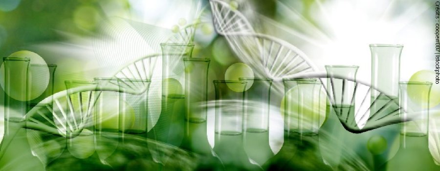 Réglementation des nouvelles technologies d'édition du génome : académies et scientifiques donnent leurs avis