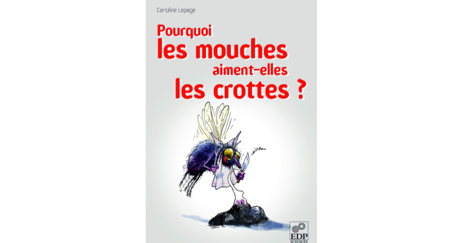 Pourquoi Les Vaches Ne Peuvent Elles Pas Descendre Les Escaliers