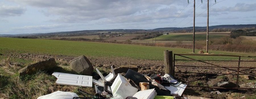 Tour d'horizon des contaminants présents dans les sols agricoles