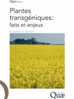 Plantes transgéniques : faits et enjeux