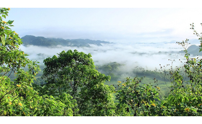 Voir sous la forêt : l'apport du lidar à la recherche archéologique en Amazonie