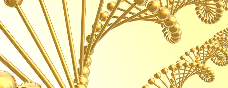 Contrôle (épi)génétique du déterminisme du sexe : le fer a son mot à dire