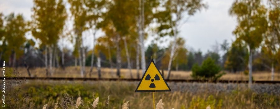 Sûreté nucléaire en France et conséquences radiologiques en cas d'accident