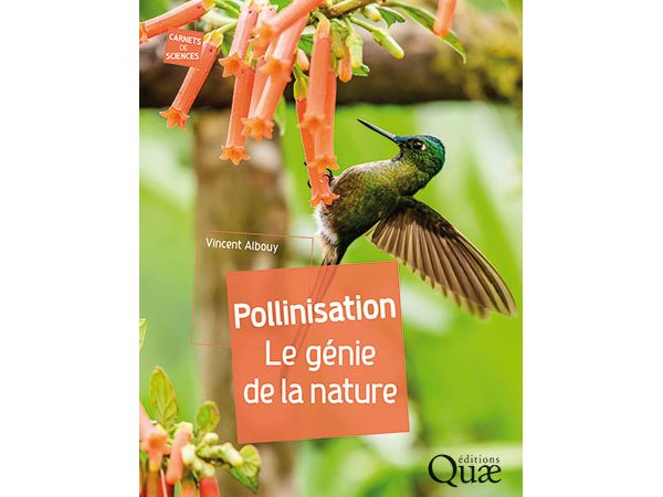 Pollinisation