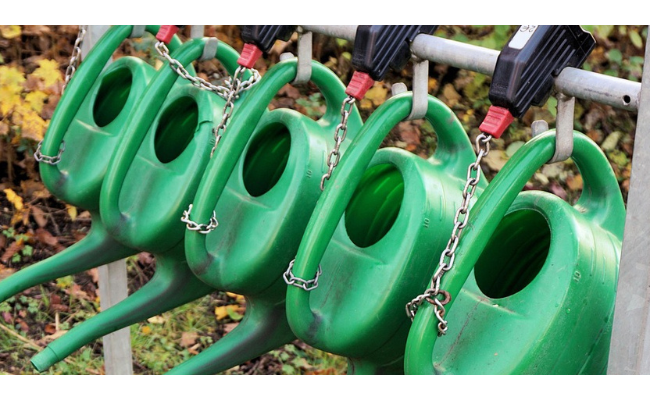 La permaculture : solution ou illusion ? 