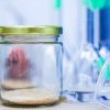 Les perturbateurs endocriniens : formidable intox ou vrai danger ?