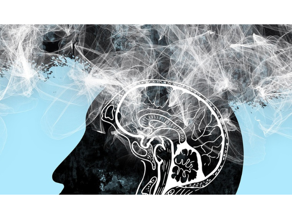 Dépolluer la science : responsabilité des institutions ou des lanceurs d'alerte ?