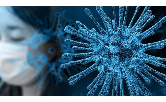 Covid-19 : les mécanismes de l'infection