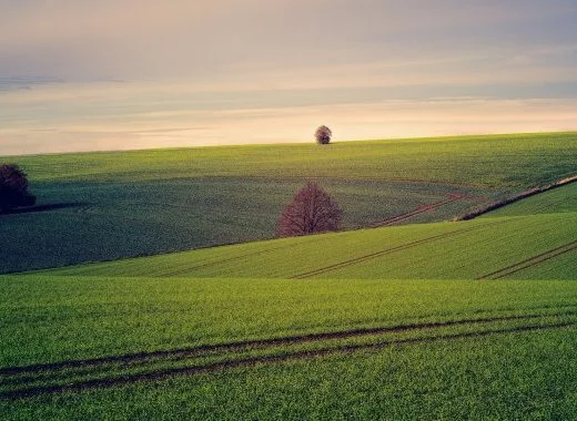 Plan Écophyto : l'idéologie au pouvoir ?